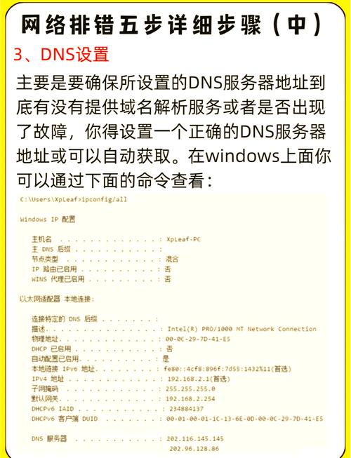 从TP官方网站获取文件的正确姿势：心态、网络与版本选择要点