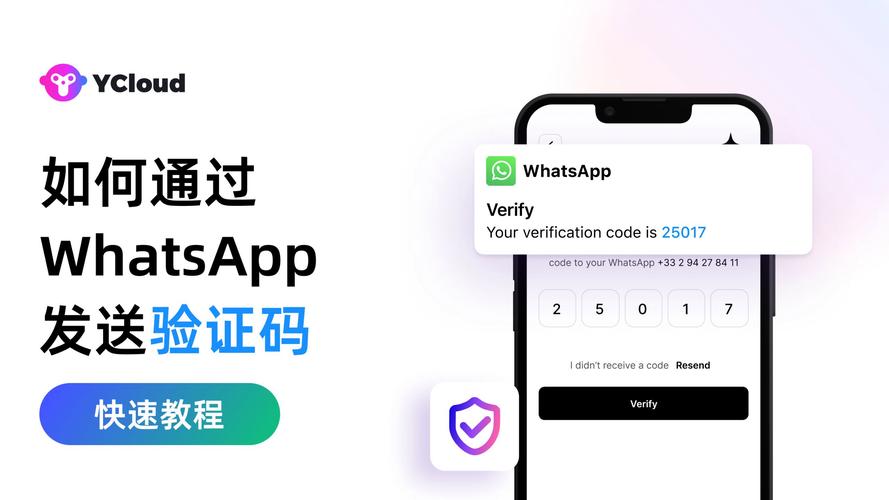 TP官网下载安卓2025版本时，数据验证为何是关键步骤？